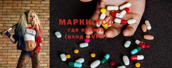 стаф Новодвинск
