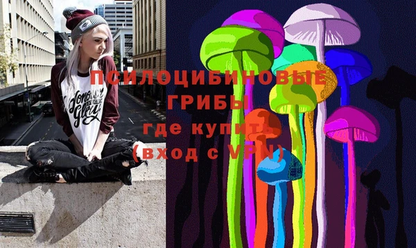 спайс Новозыбков