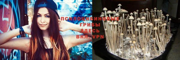 стаф Новодвинск