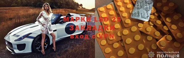 стаф Новодвинск