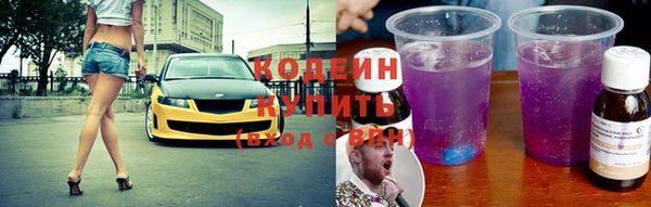 стаф Новодвинск