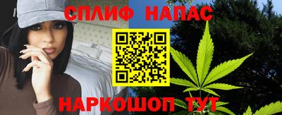 крисы Ирбит