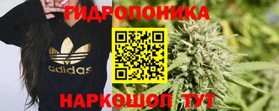 крисы Ирбит