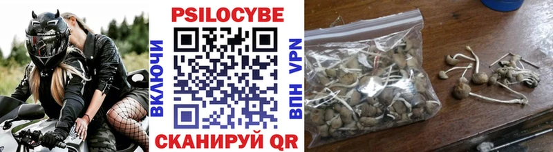 ОМГ ОМГ ONION  Химки  Галлюциногенные грибы Psilocybine cubensis 
